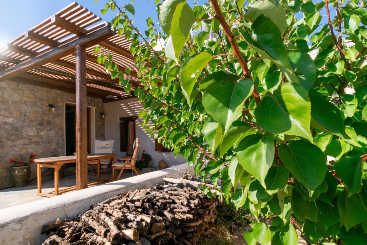 Villa Maria Stavrokhorion Esterno foto